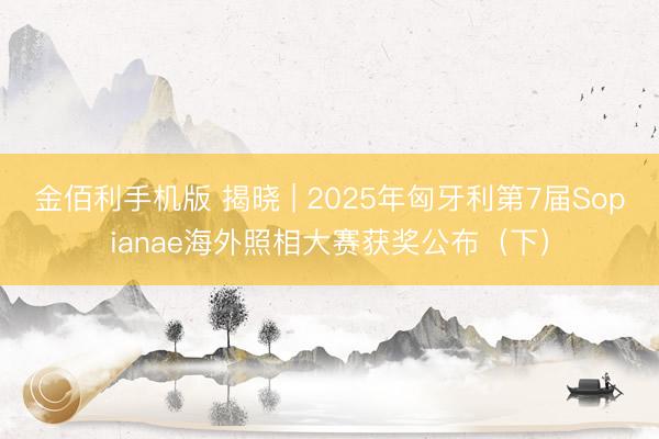 金佰利手机版 揭晓 | 2025年匈牙利第7届Sopianae海外照相大赛获奖公布(下)